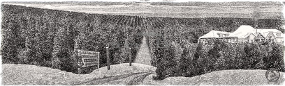 Tannenbaum_Farm_ohne_Text_BW.png